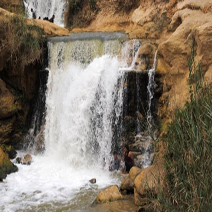 Egypt Safari Trips